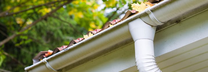 Gutter Cleaning