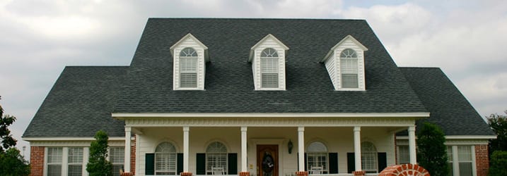 Roof Cleaning