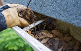 Gutter Cleaning